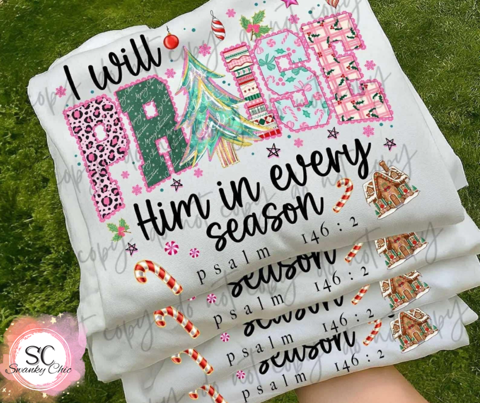 Kelsey Shepherd — Praise him in every season: XL, surprise color, long sleeve tee