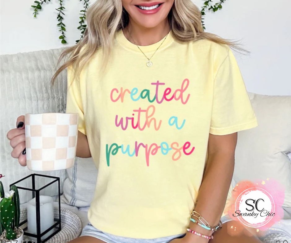 Lori Ann — Created for a purpose: Medium, mystery color, crewneck tee