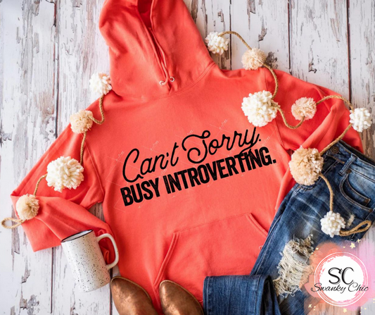 RaeAnn Kennedy — can’t sorry busy introverting: 2X, maroon/Grey, raglan tee